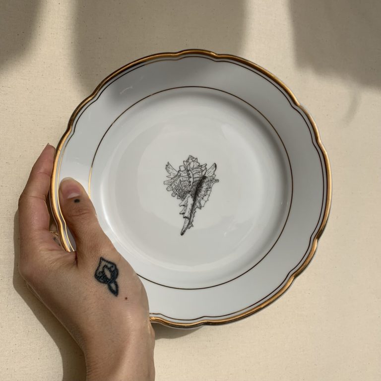 assiette _ coquillage