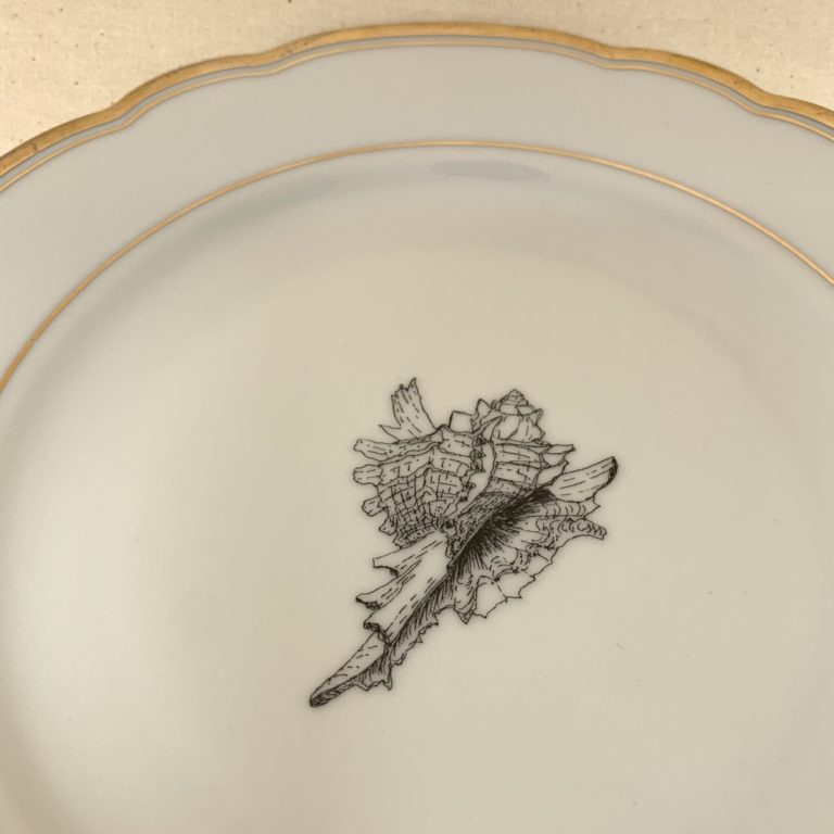 assiette _ coquillage